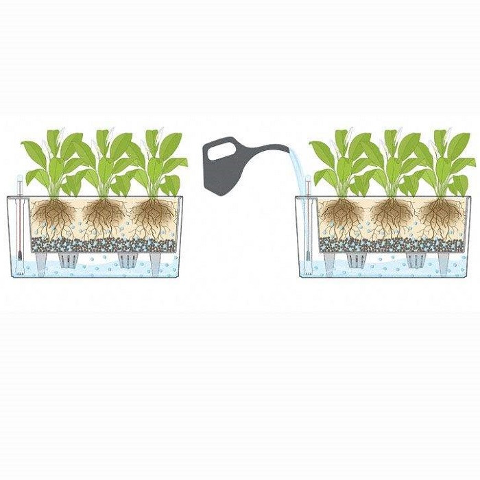 گلدان خودآبیار مدل G-H