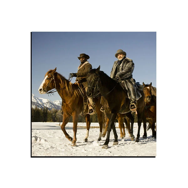 تابلو شاسی مدل فیلم جانگوی رها از بند