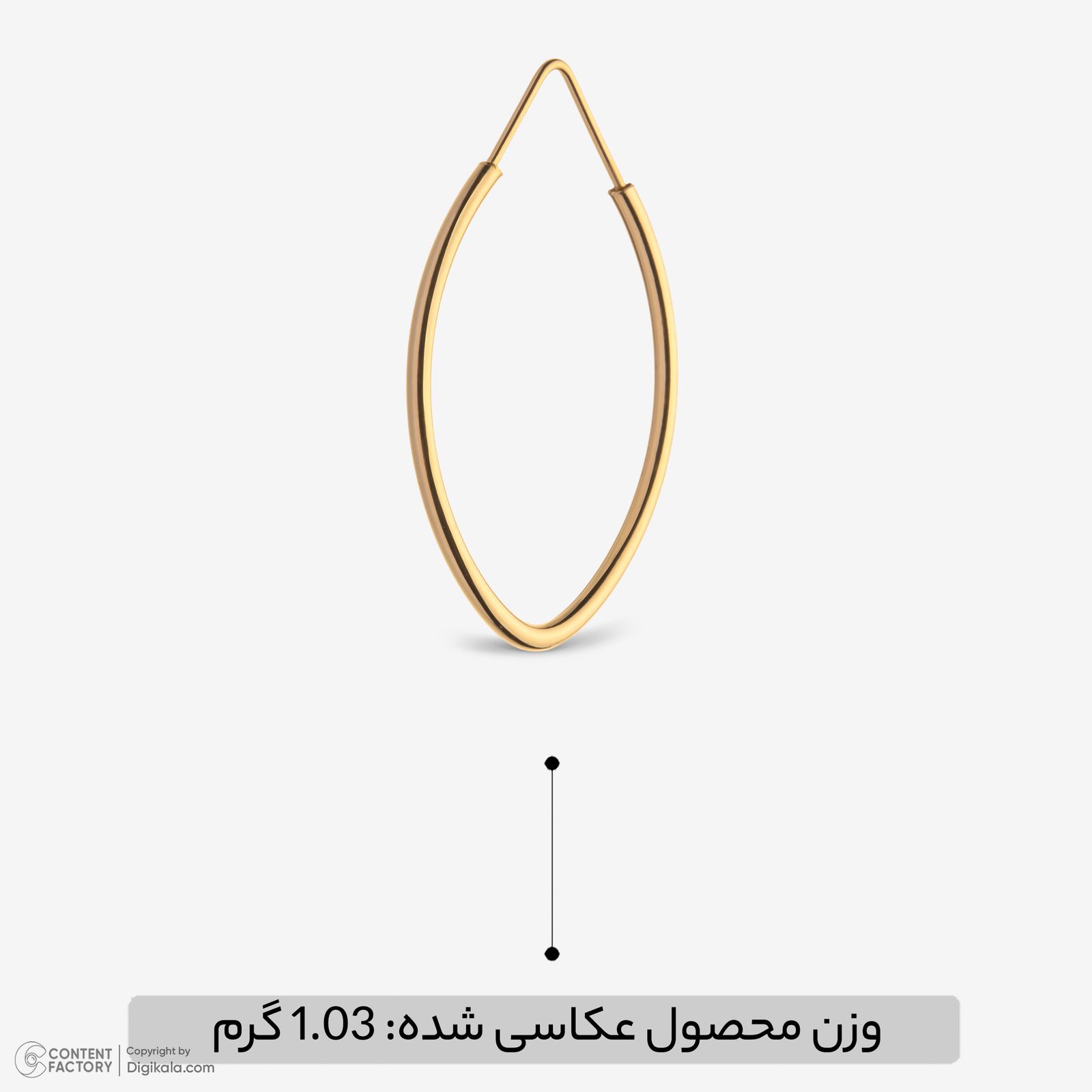 گوشواره حلقه‌ای طلا 18 عیار زنانه گلدم مدل 2E245003 -  - 6