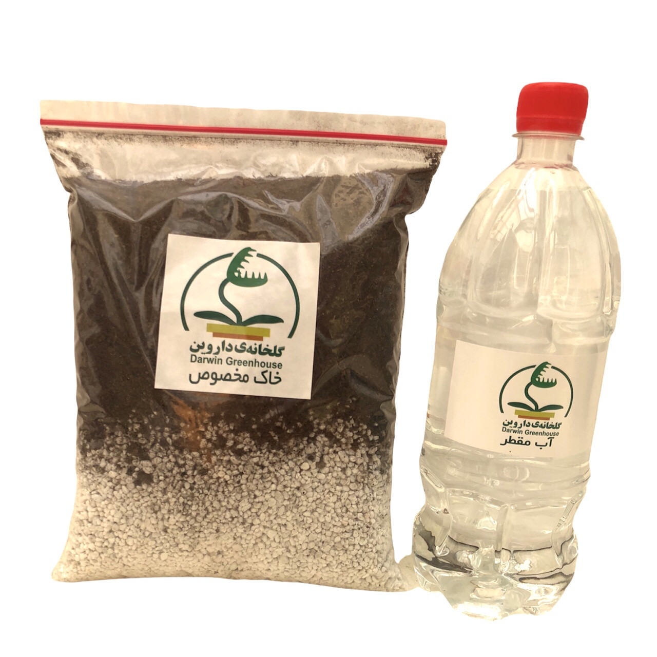 گیاه طبیعی گوشتخوار دروزرا مدل Dro04 مجموعه 4 عددی