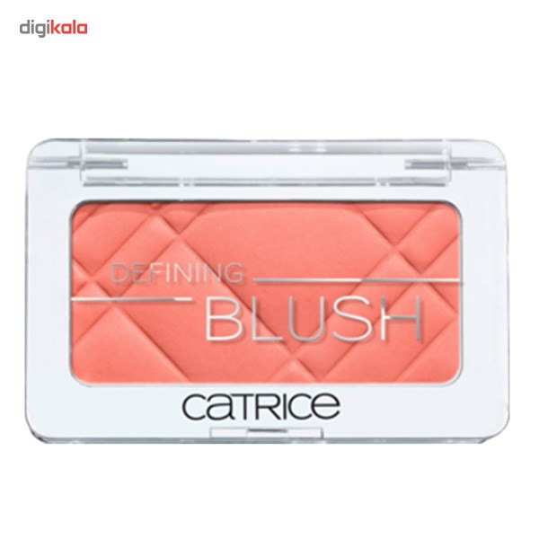 رژ گونه کاتریس مدل Defining 030 رژ گونه کاتریس مدل Defining 030