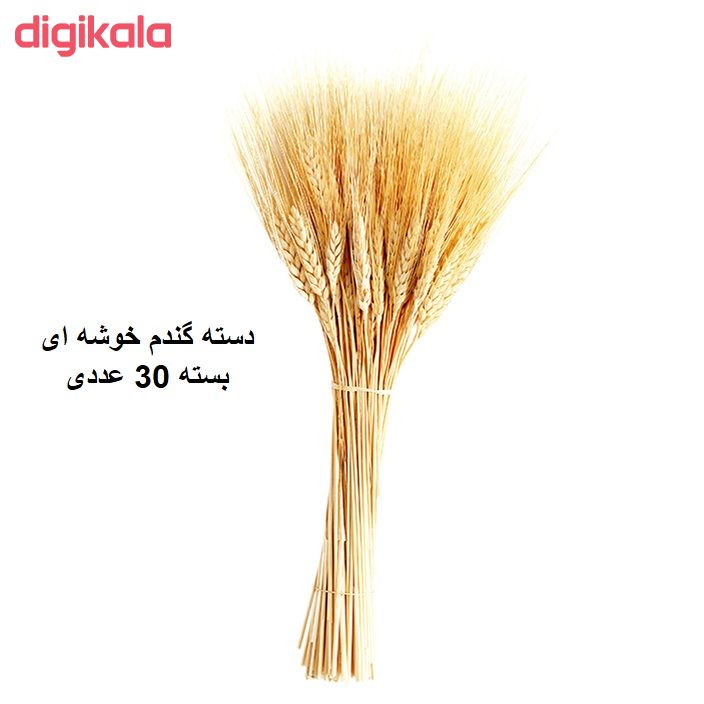 گل خشک مدل خوشه گندم کد30 main 1 1