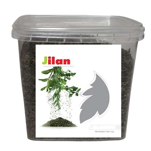 سبزی نعنا خشک جیلان - 100گرم