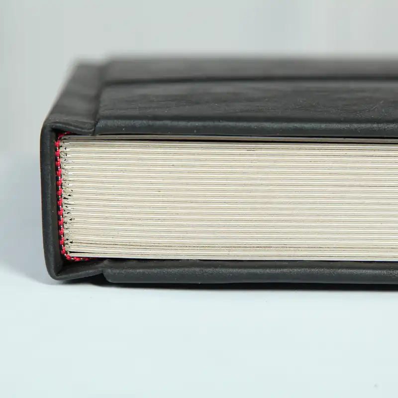 آلبوم عکس مدل A 20