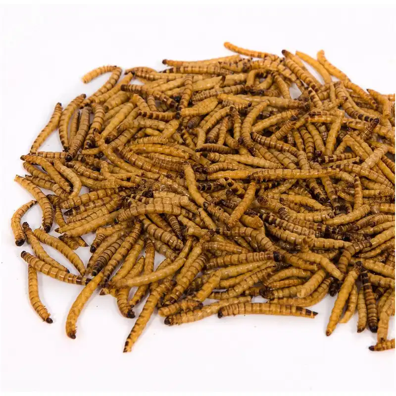 طعمه ماهیگیری ولکانو سوپرورم کد SWFB60