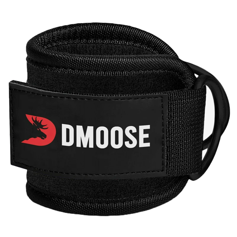 پابند مدل Dmoose