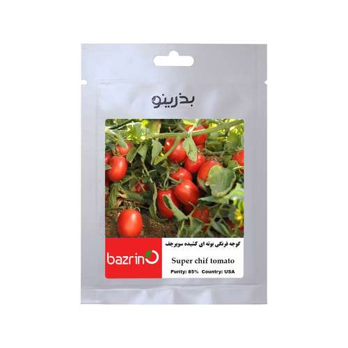 بذر گوجه فرنگی بوته ای کشیده سوپرچف بذرینو کد BZ-153