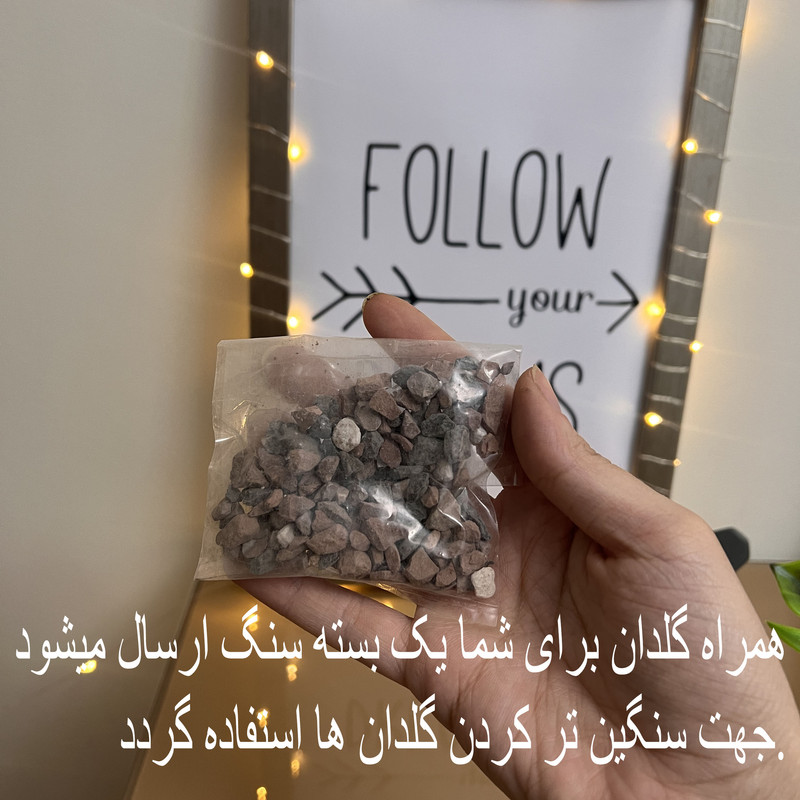 گلدان به همراه گل مصنوعی مدل برگ کاجی مربعی میناتوری