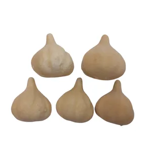 میوه تزیینی مدل سیر هفت سین بسته 5 عددی