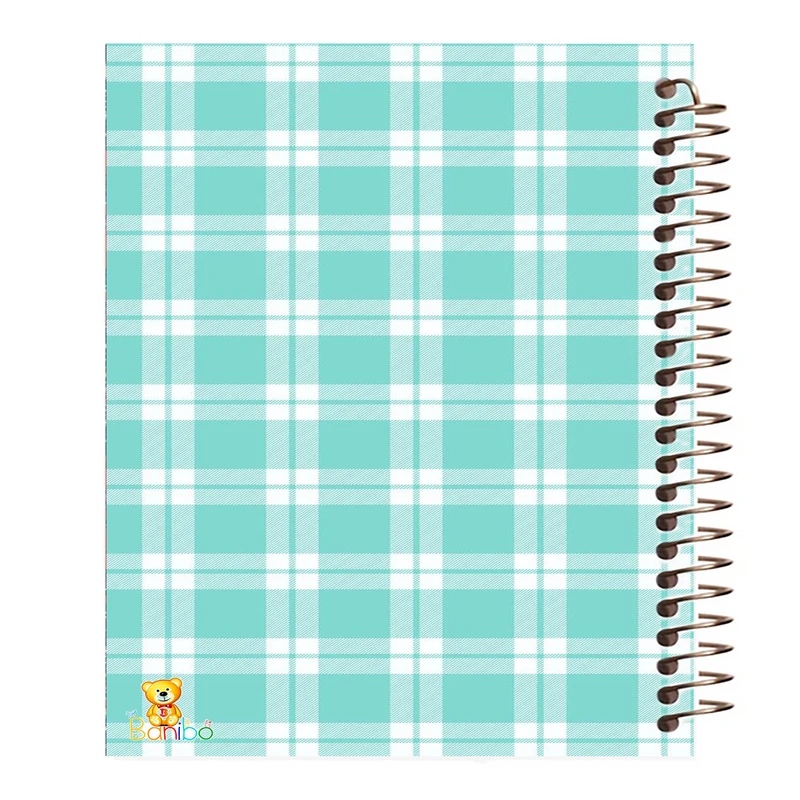 دفتر مشق 100 برگ بانیبو طرح  رنگی کد 247