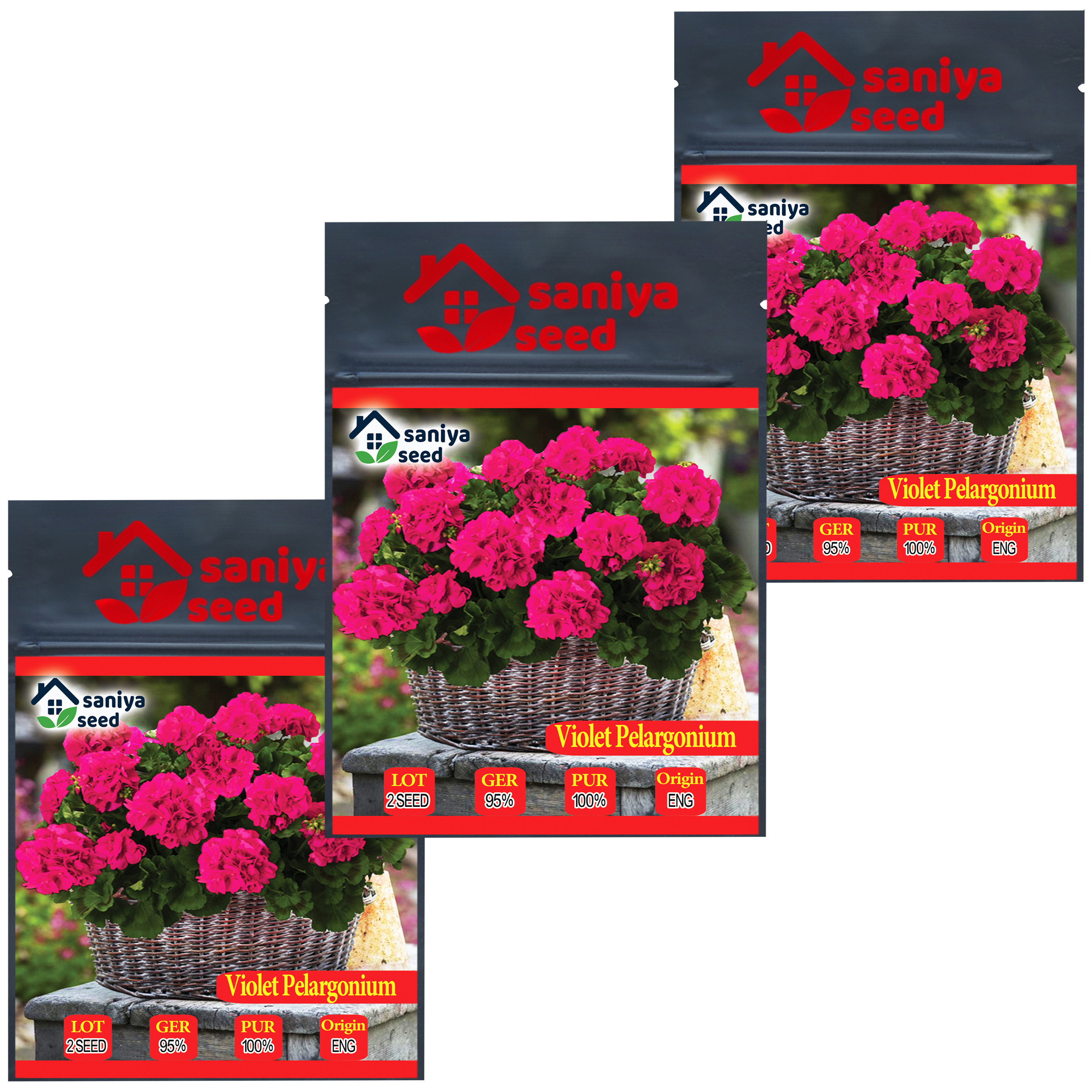 بذر گل شمعدانی بنفش سانیا سید مدل S3 مجموعه 3 عددی