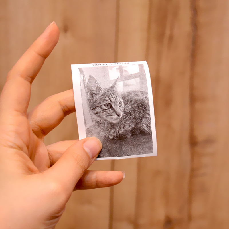 پرینتر حرارتی مدل MINI Printer Blue