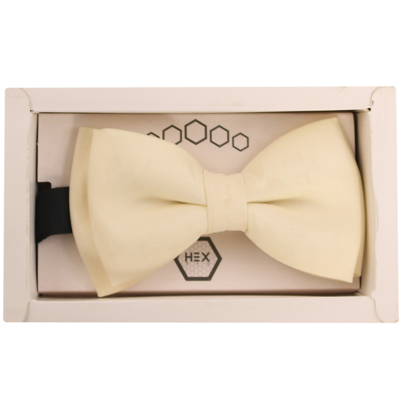 پاپیون مردانه مدل PJ-109361