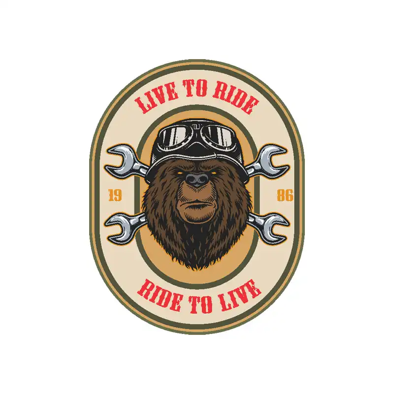 برچسب بدنه خودرو رایسان کد st086