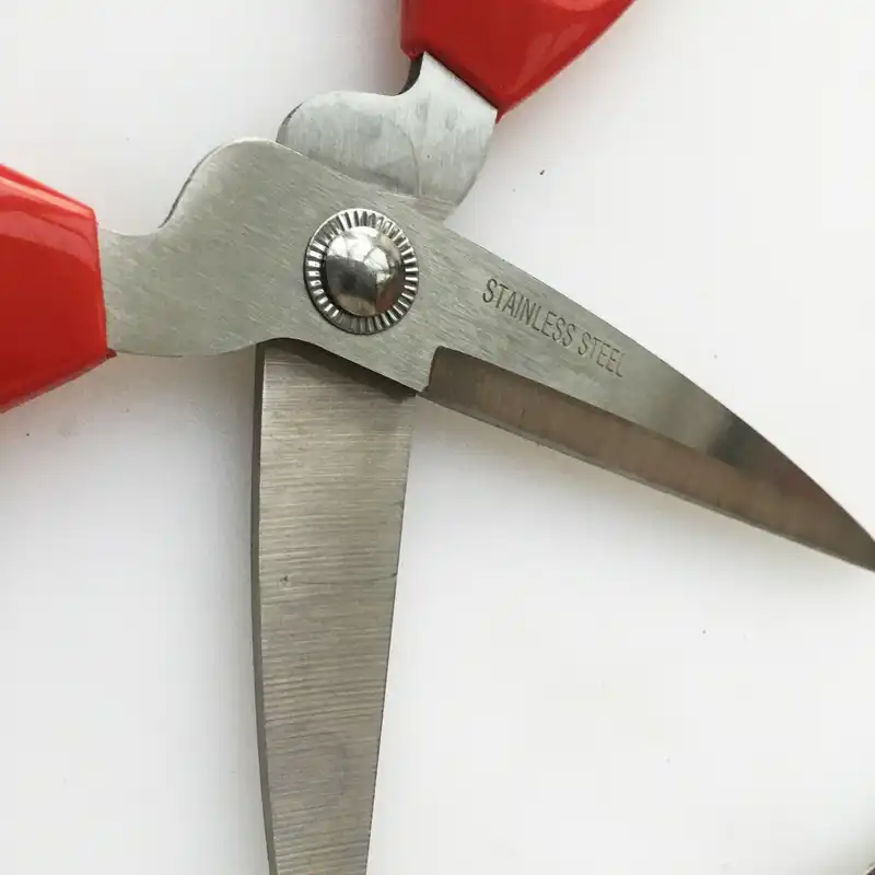 قیچی برش چرم مدل CHN-20cm