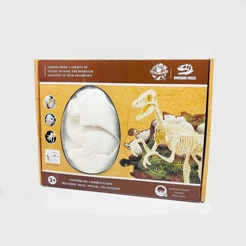 کیت آموزشی مدل حفاری استخوان دایناسور 