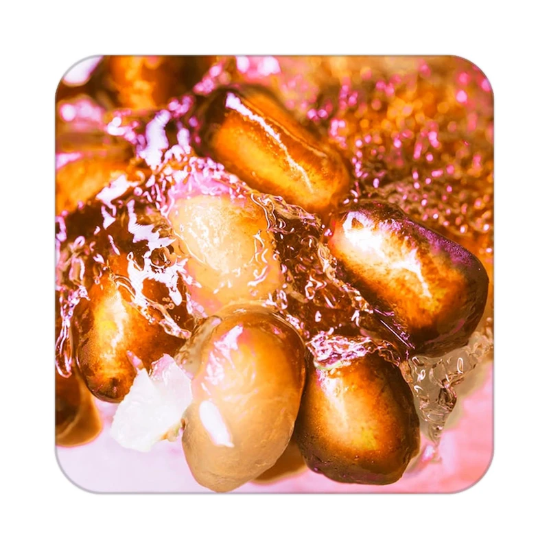 زیر لیوانی کاکتی طرح میوه مدل mp20946