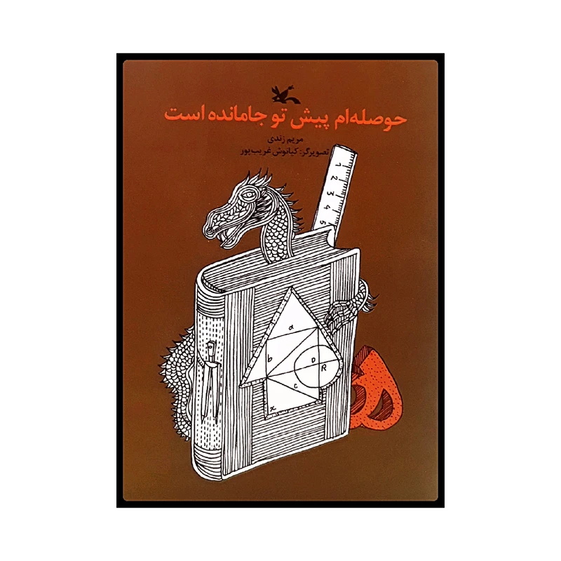 كتاب حوصله ام پيش تو جا مانده است اثر مريم زندي انتشارات کانون پرورش فکری کودکان و نوجوانان
