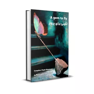 کتاب نگینی برای پرواز  اثر نگین خاتونی انتشارات خیزران