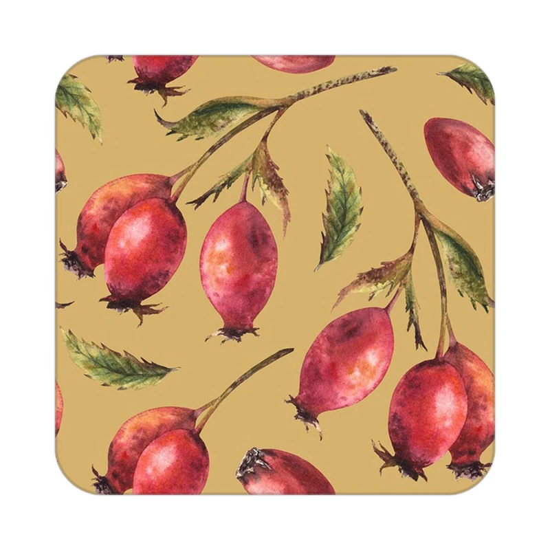 زیر لیوانی کاکتی طرح میوه مدل mp20002