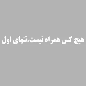 برچسب بدنه خودرو طرح تنهای اول کد 135AZ 21