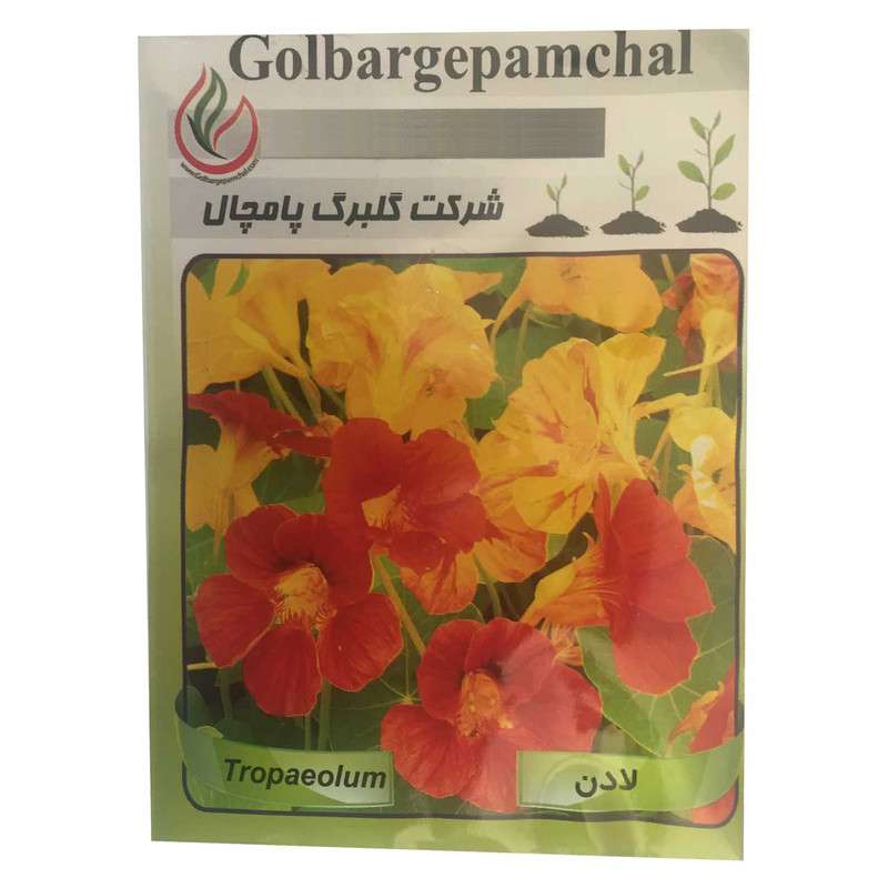 بذر گل لادن گلبرگ پامچال مدل GP16