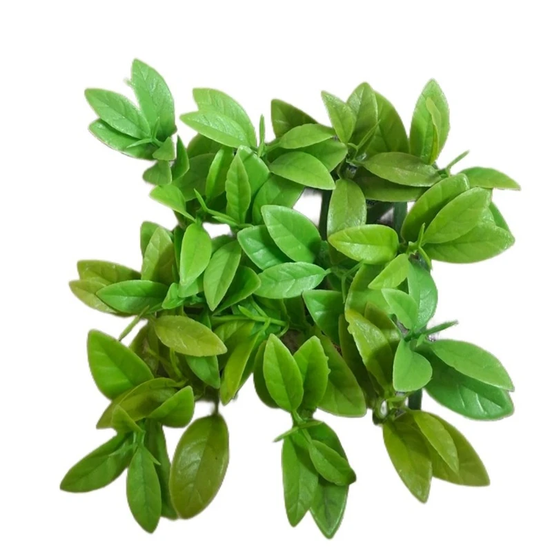 چمن مصنوعی آکواریوم مدل پدیلانتوس