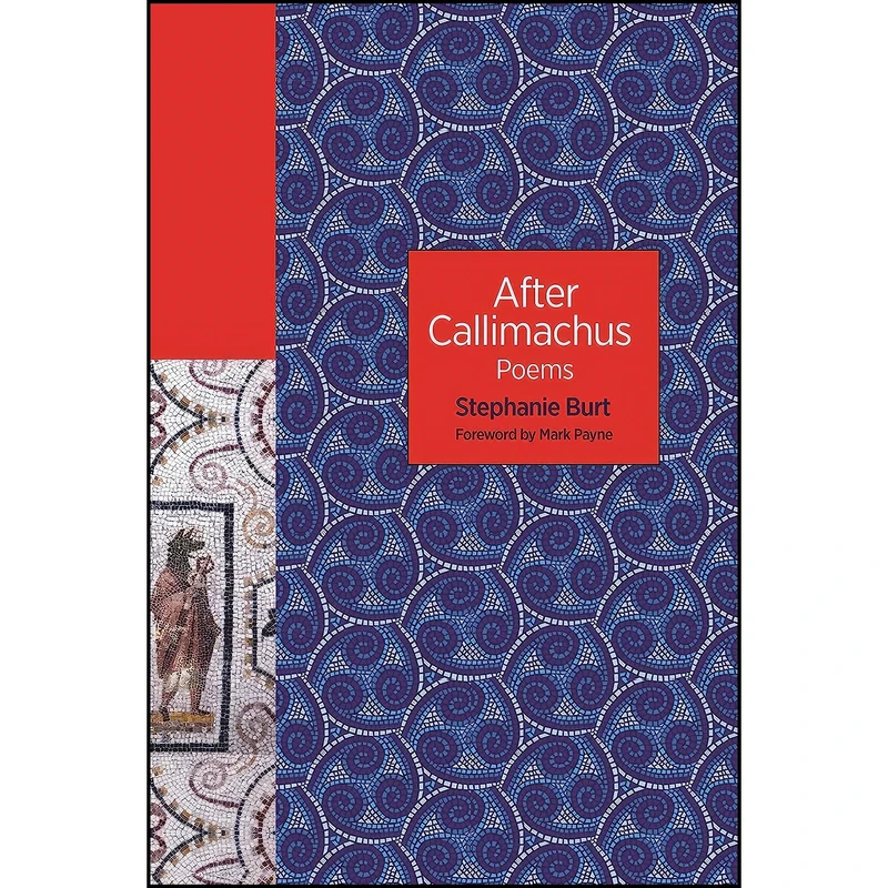 کتاب After Callimachus اثر جمعي از نويسندگان انتشارات Princeton University Press