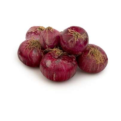 پیاز سفید بهتر است یا قرمز ؟