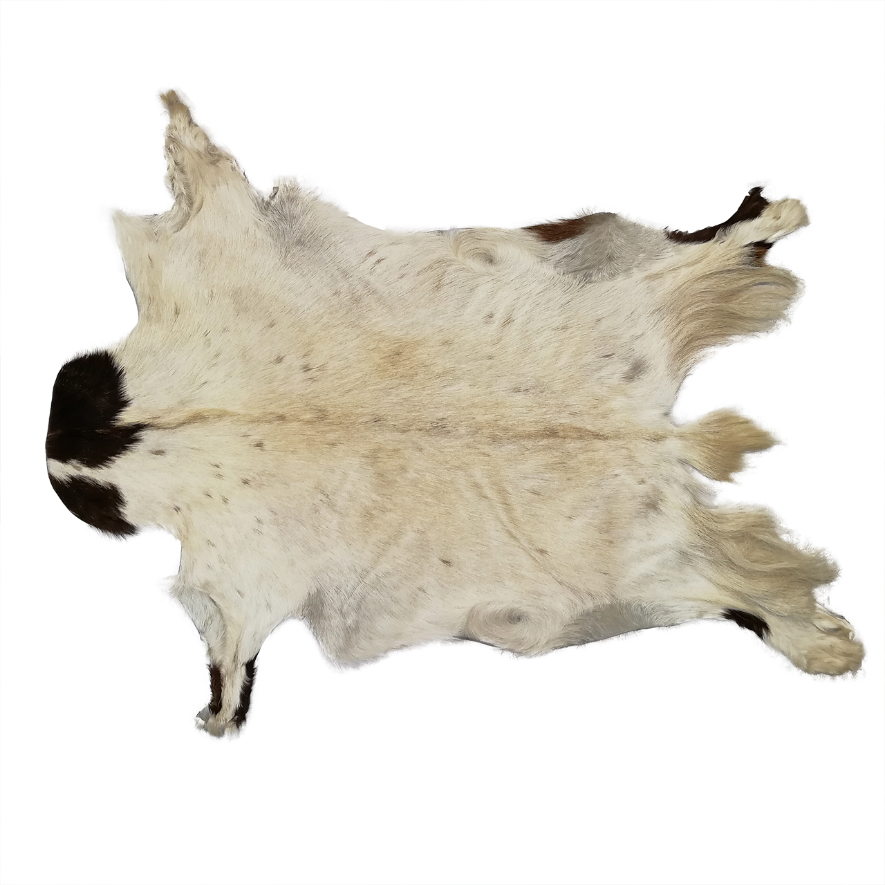 فرش پوست طبیعی کمالی مدل AC-00006