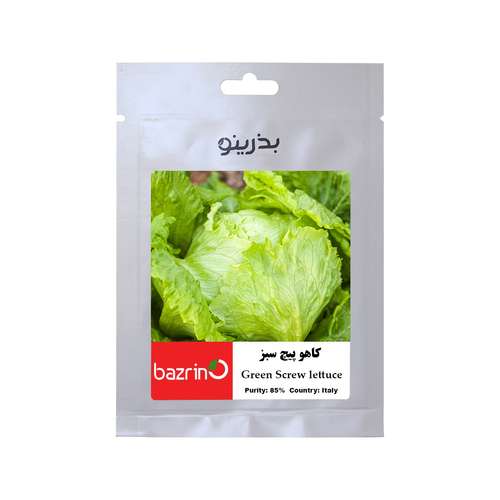 بذر کاهو پیچ سبز بذرینو کد BZNO-224
