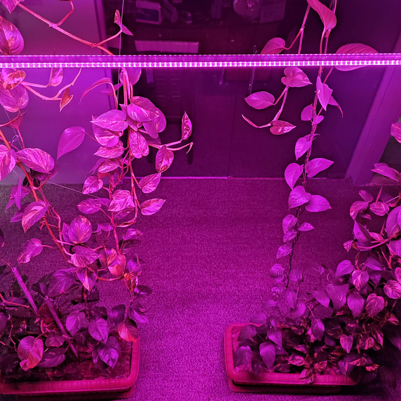 لامپ رشد گیاه 18 وات مدل فول اسپکتروم 220v طرح ریسه LED بسته 2 عددی