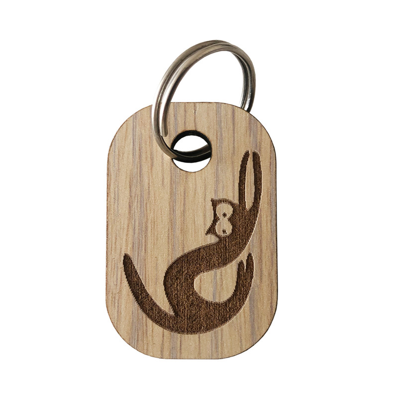 جا کلیدی مدل fj21