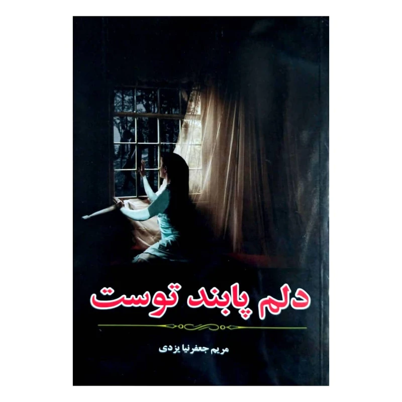 کتاب دلم پابند توست اثر مریم جعفرنیا یزدی انتشارات آپامهر