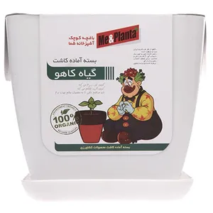 مجموعه آماده کاشت می اند پلنتا گیاه کاهو