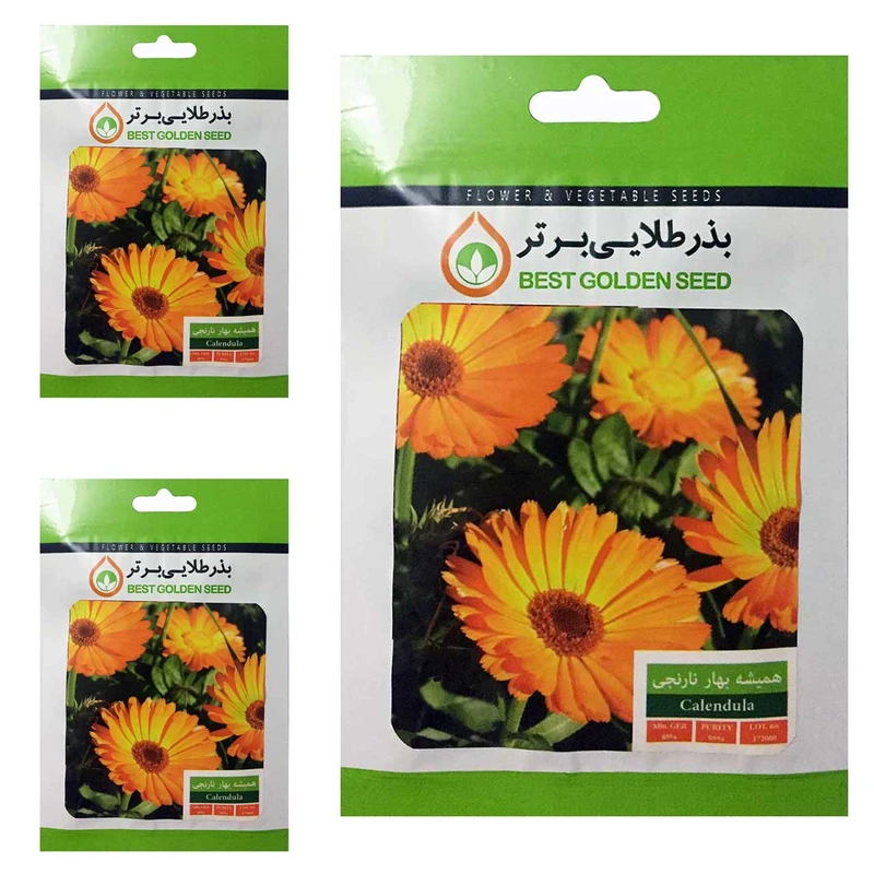 بذر گل همیشه بهار نارنجی بذر طلایی برتر کد BTB-38 مجموعه 3 عددی