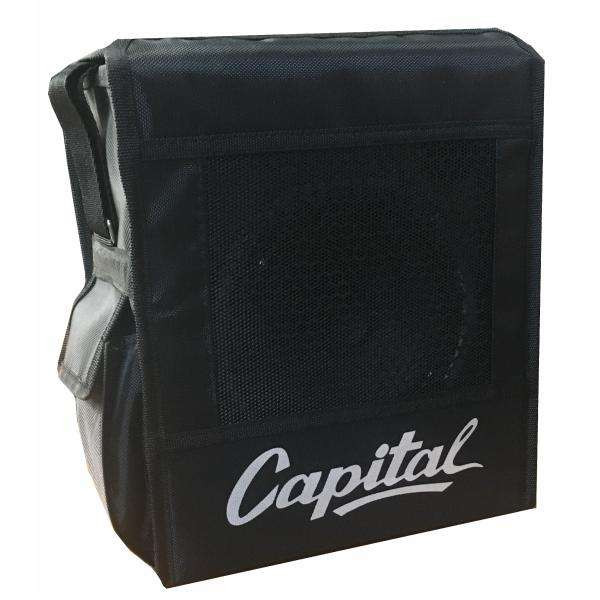 اکو همراه کپیتال مدل 2040