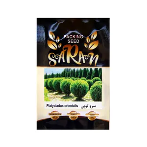 بذر درخت سرو توپی ساران مدل AMR-156