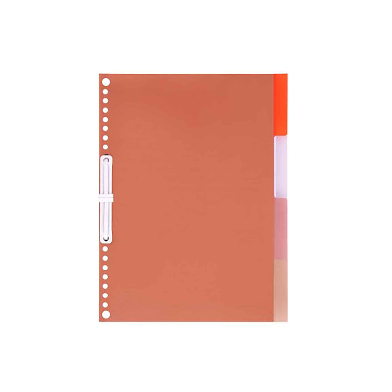 کاغذ کلاسور پاپکو  کدDR227 بسته 100 عددی