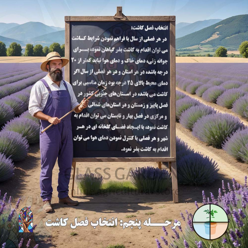 بذر میوه توت فرنگی گلدانی گلس گاردن مدل GL50