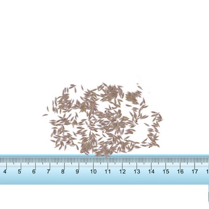 عکس شماره 4 : مجموعه آماده کشت نکس بات مدل هیدروپونیک کد ne304 مجموعه 4 عددی