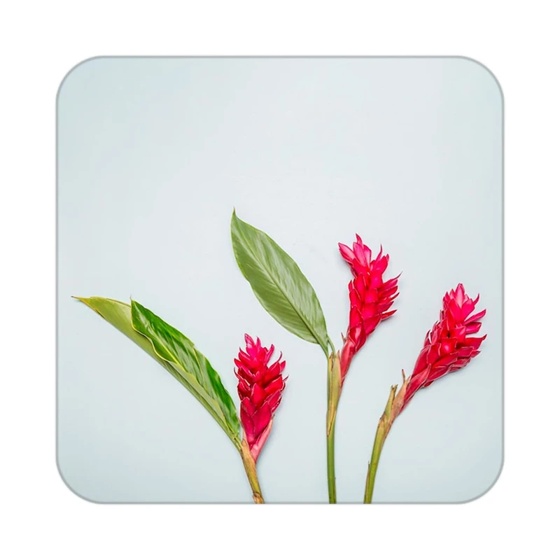 زیر لیوانی کاکتی طرح گل مدل mp16569