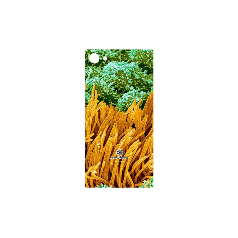 برچسب پوششی ماهوت مدل Atom Universe 6 مناسب برای گوشی موبایل سونی Xperia Z5 Compact