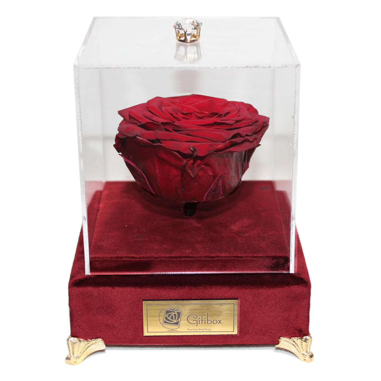جعبه گل ماندگار گیتی باکس مدل رز جاودان قرمز لاکچری آکاژو - سایز گل معمولی