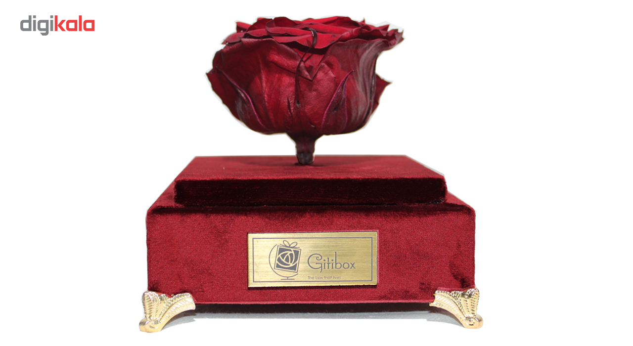 جعبه گل ماندگار گیتی باکس مدل رز جاودان قرمز لاکچری آکاژو - سایز گل معمولی