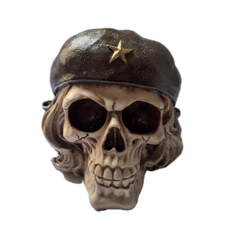 مجسمه طرح جمجمه کد fst50