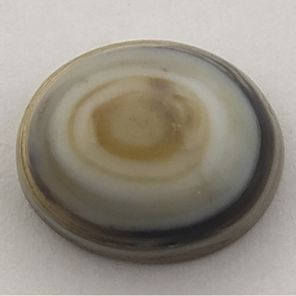 سنگ باباقوری سلین کالا مدل ce-50