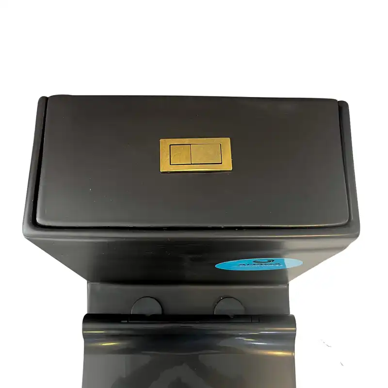 توالت فرنگی دو زمانه آداسا مدل فایتر