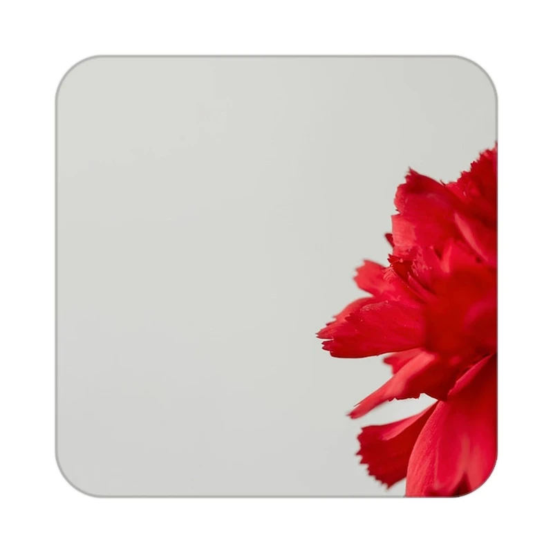 زیر لیوانی کاکتی طرح گل مدل mp18854