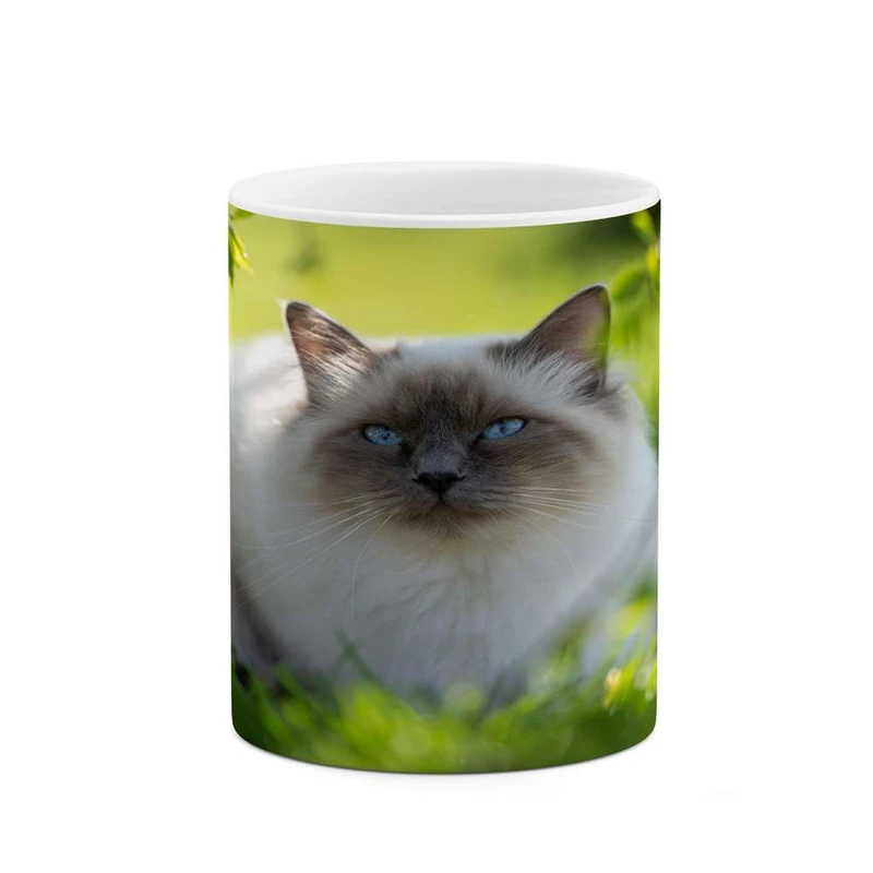 ماگ کاکتی مدل گربه کد mgh16864